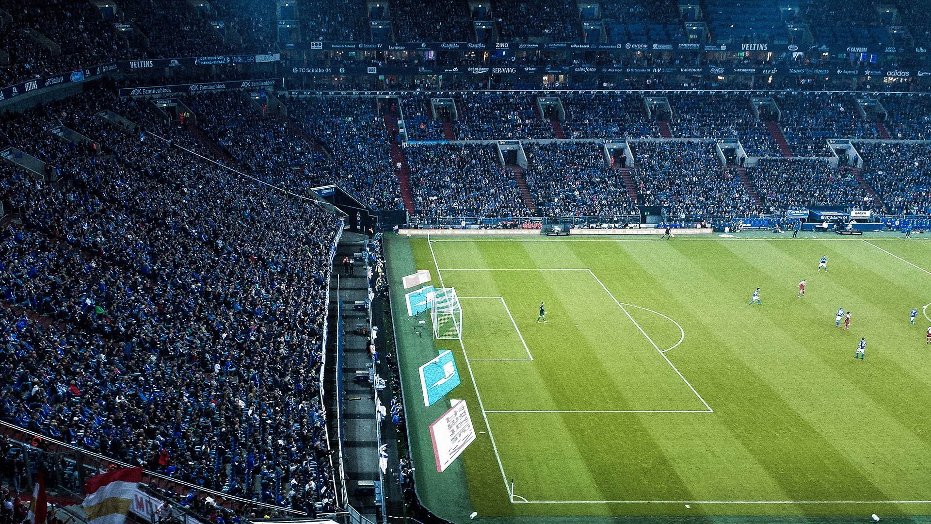 Ac米兰俱乐部官网-赛场绿化提升项目改善观众观赛体验与城市景观，景观竞赛场地